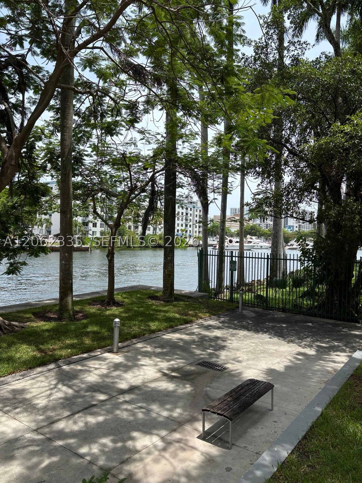 Miami photo 2