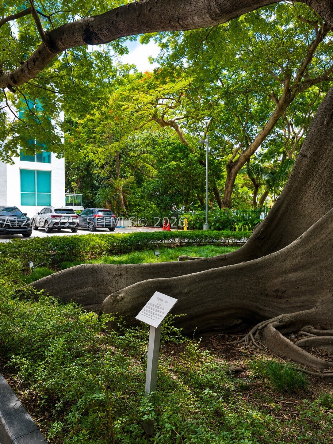 Miami photo 4