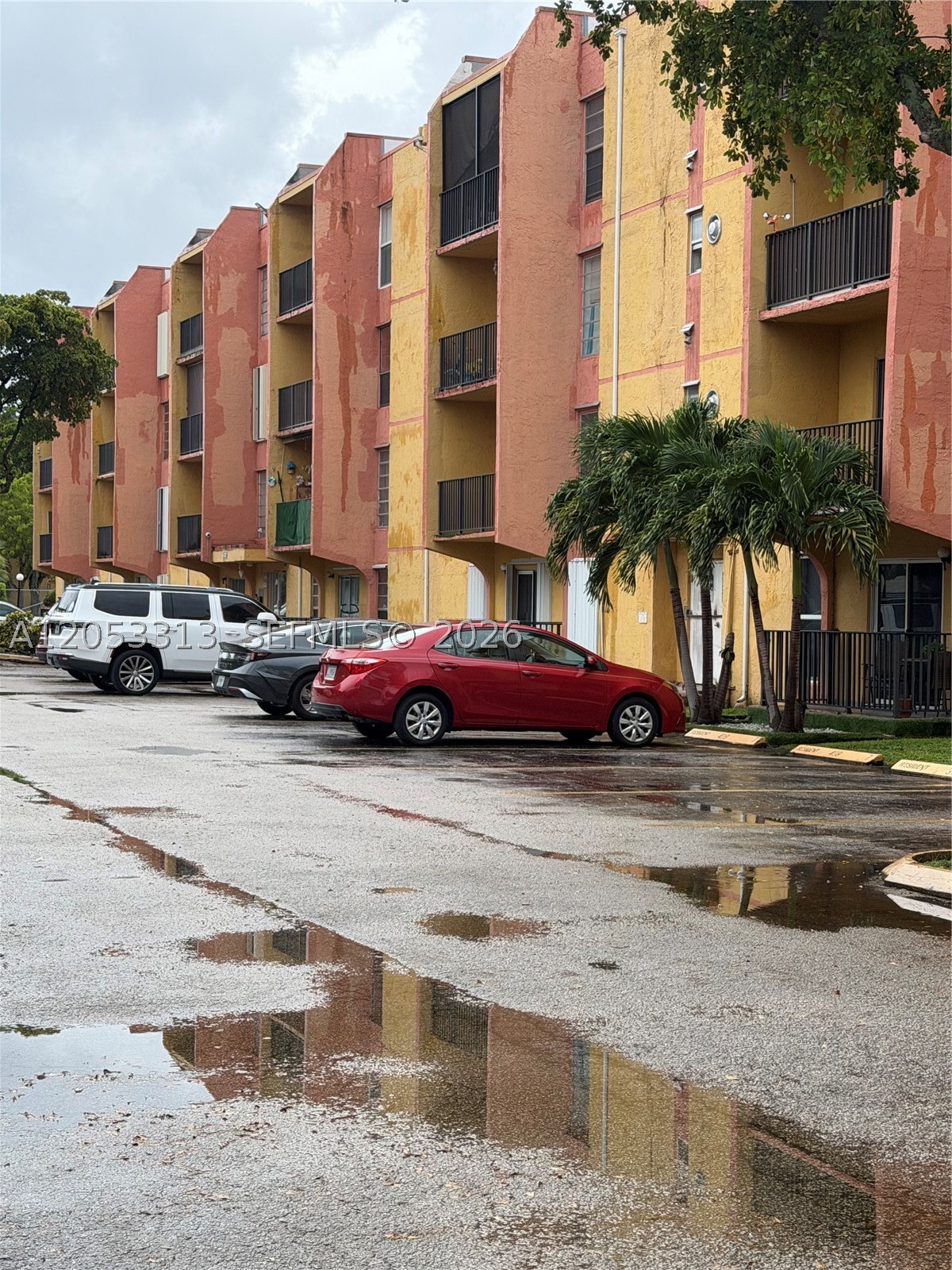 Miami photo 1