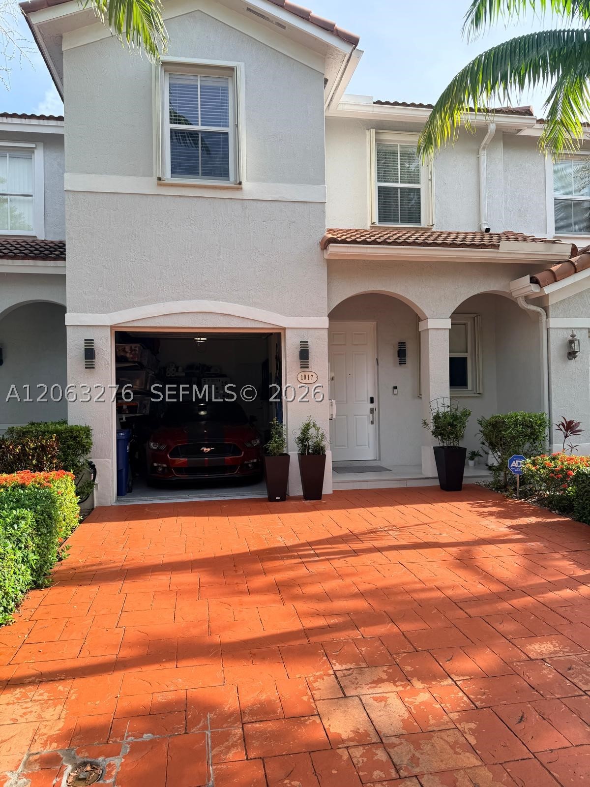 Miami photo 5