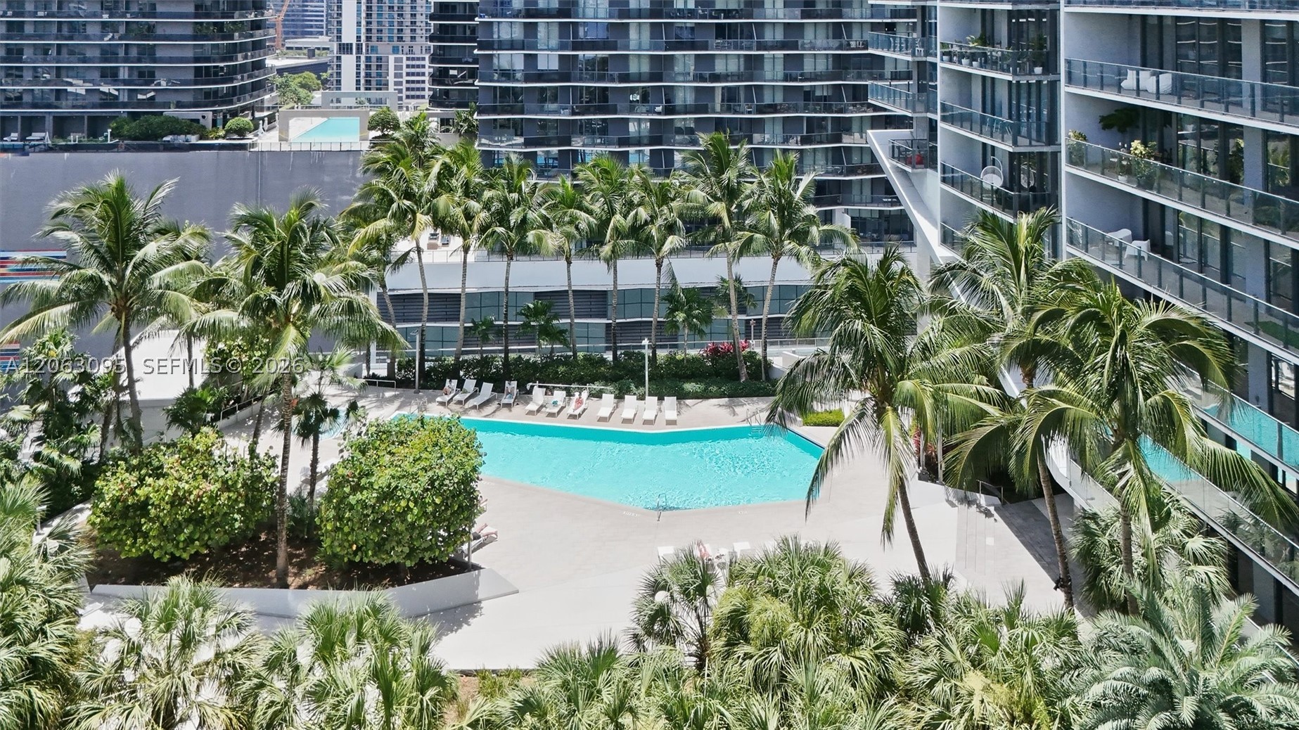 Miami photo 4