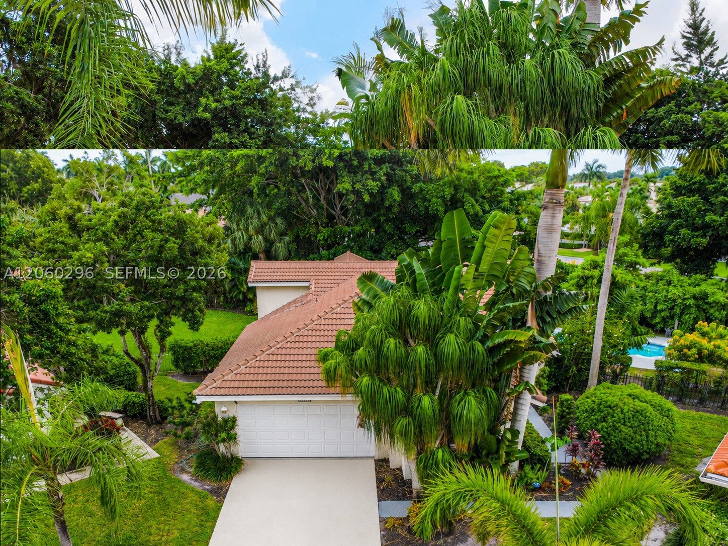 Boca Raton photo 3