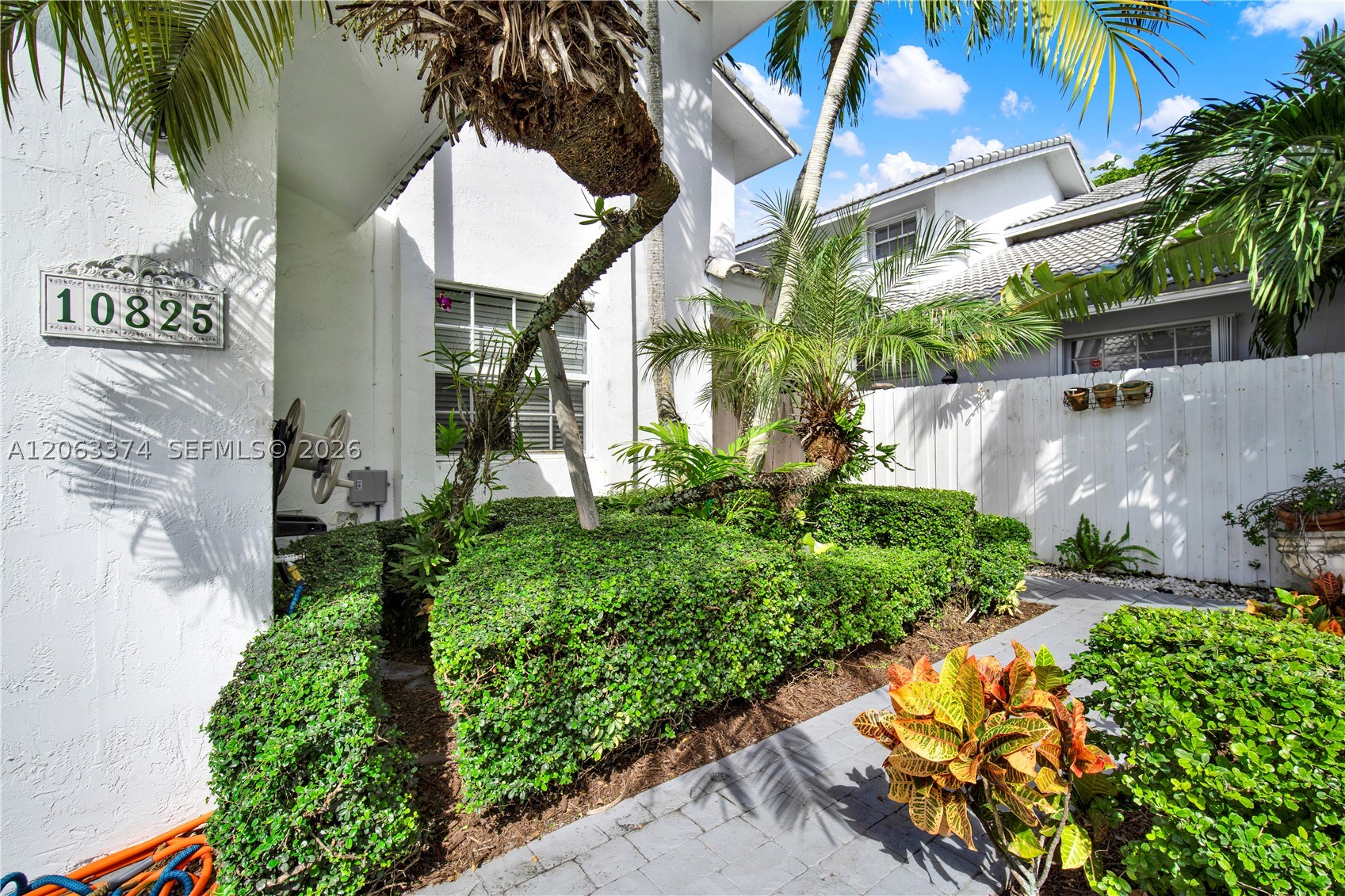 Miami photo 3