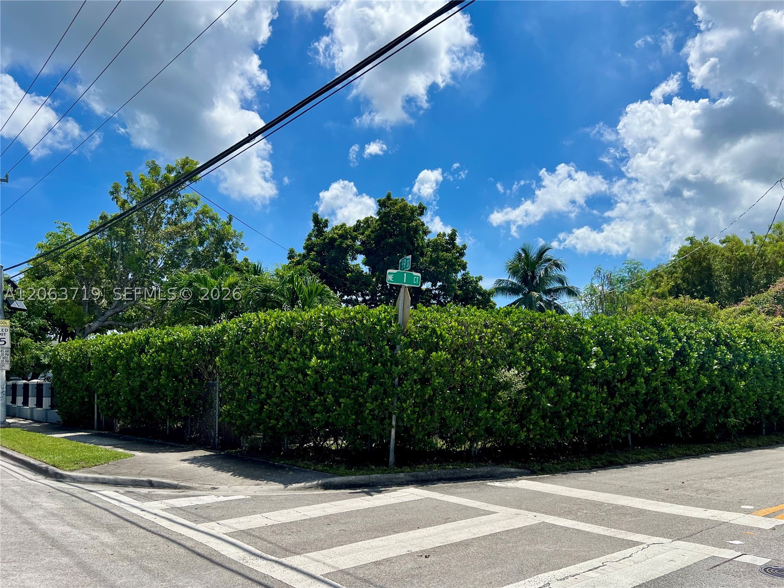 Miami photo 5