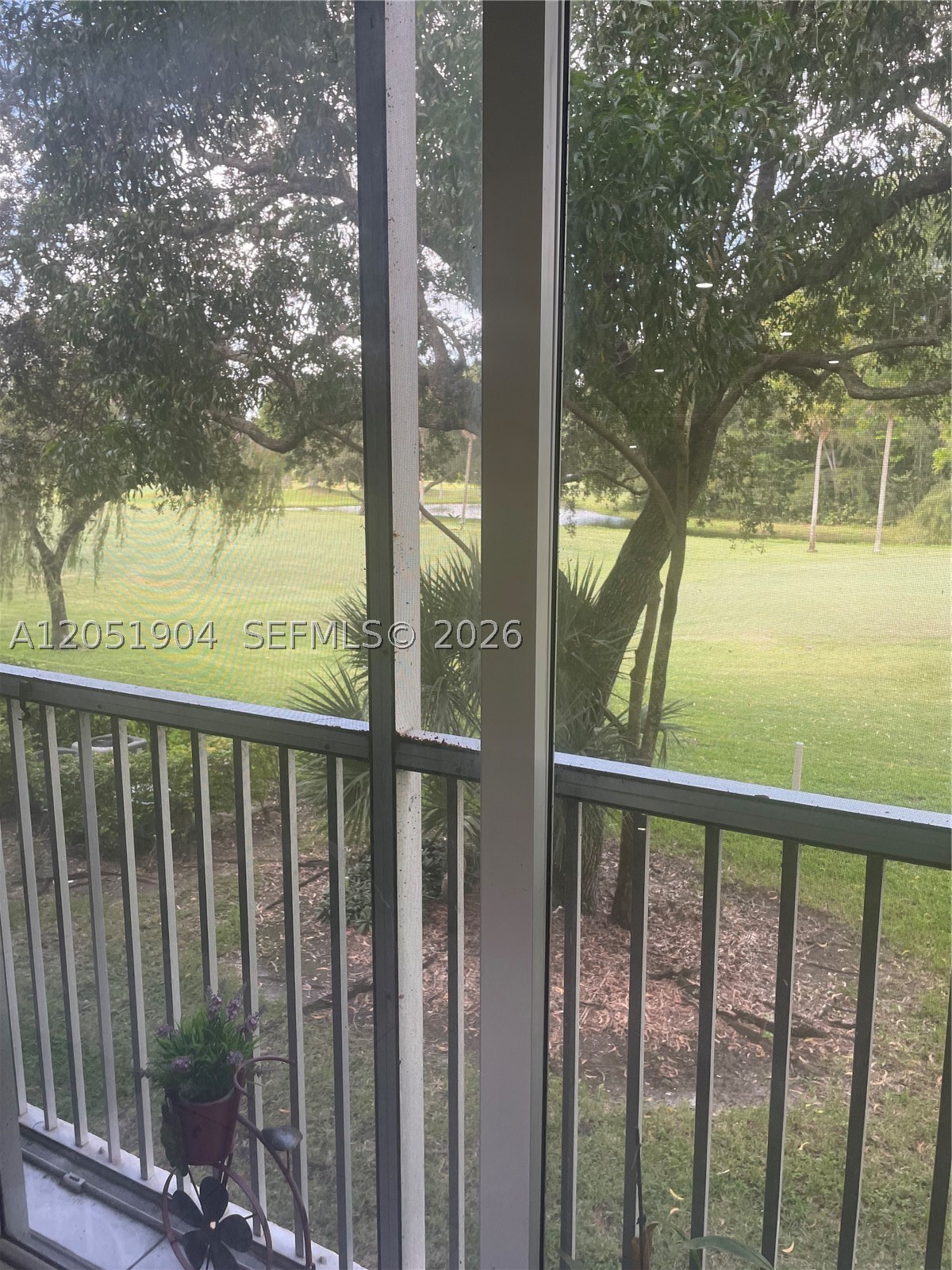 Pembroke Pines photo 4