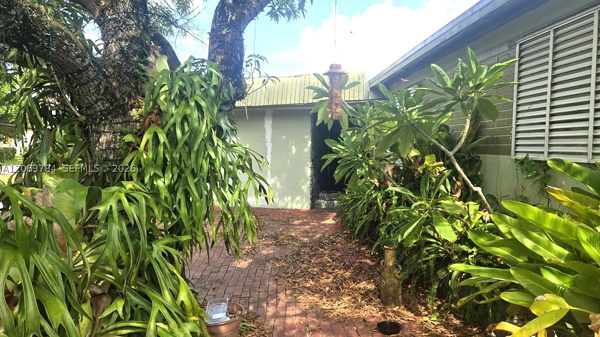 North Miami photo 3