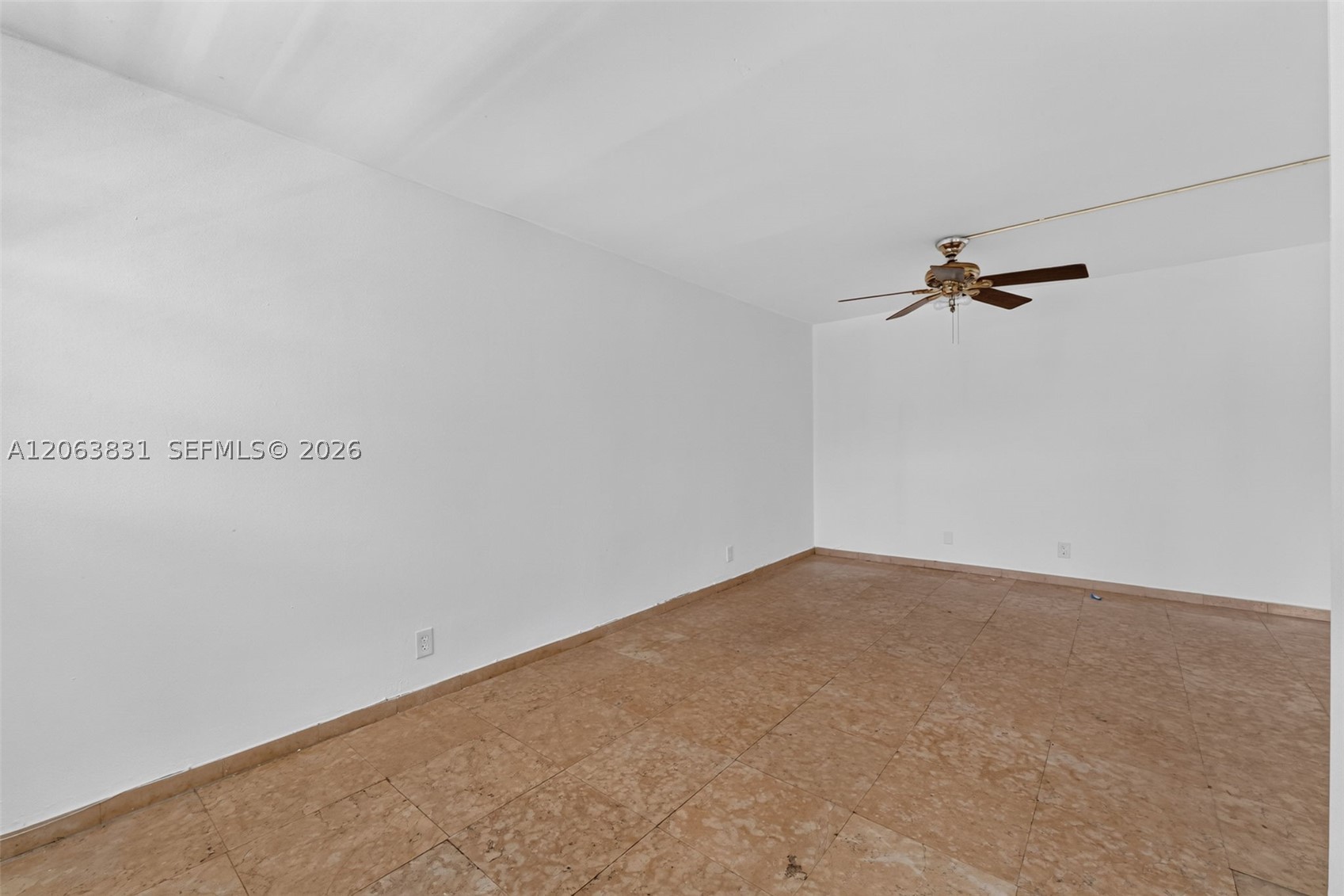 Miami Beach photo 5