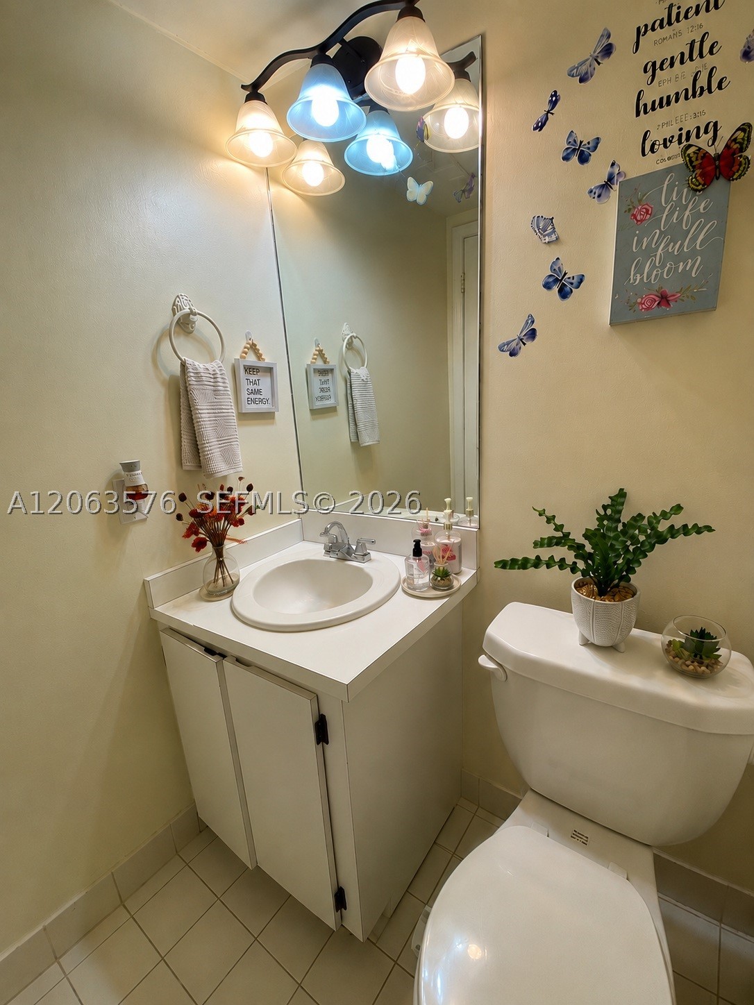 Plantation photo 5