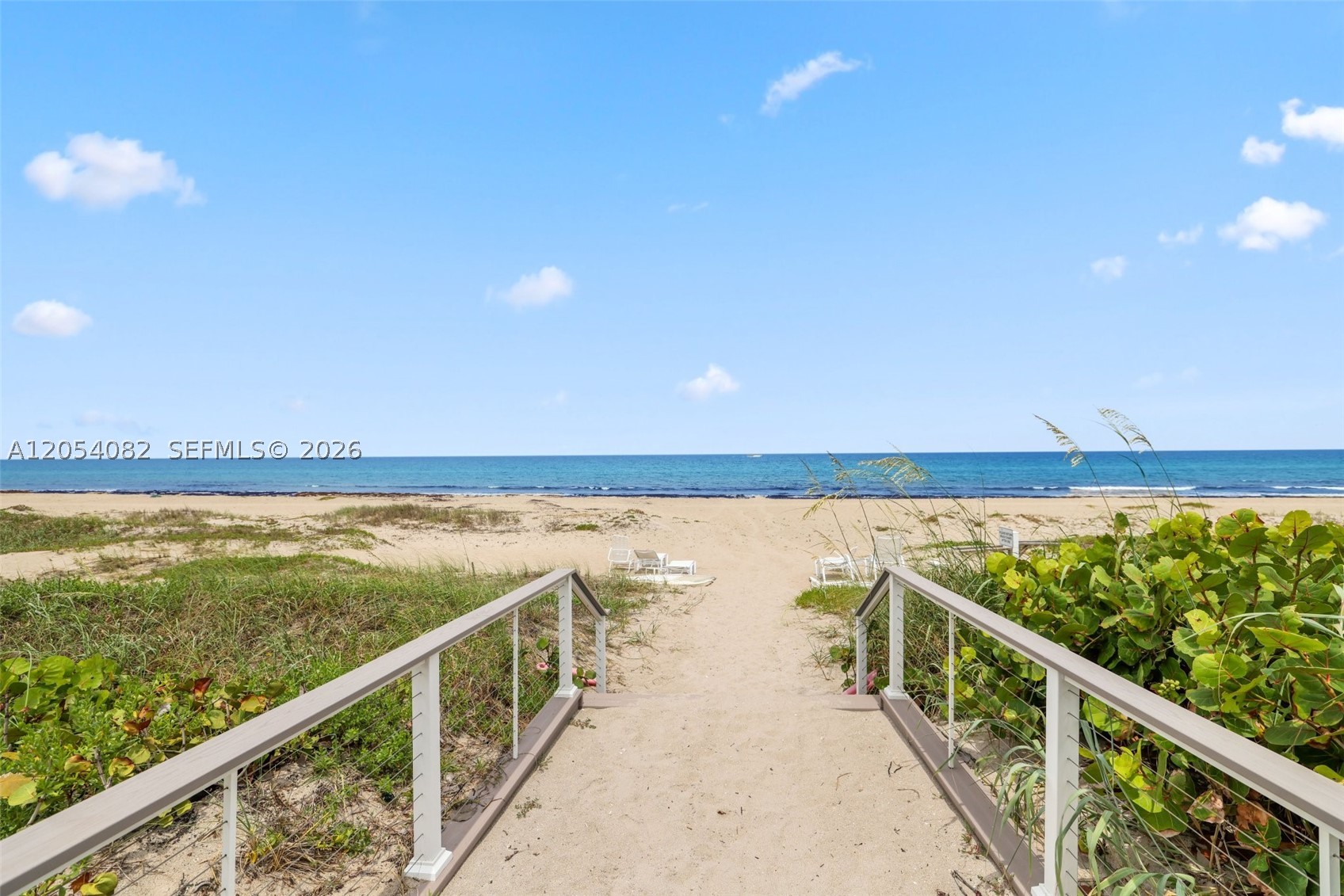 Palm Beach photo 1