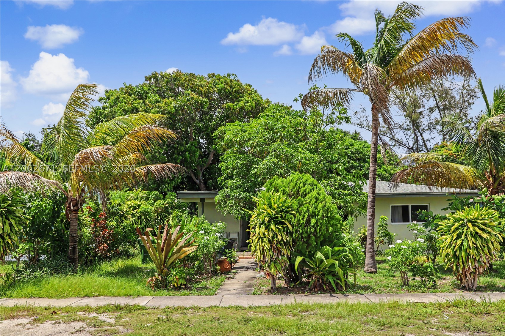 North Miami photo 2