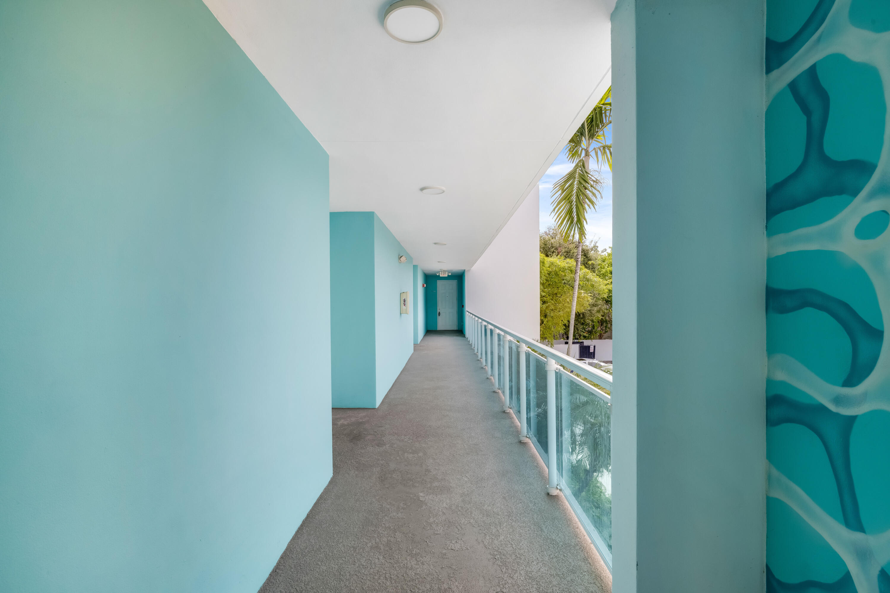 Miami photo 3