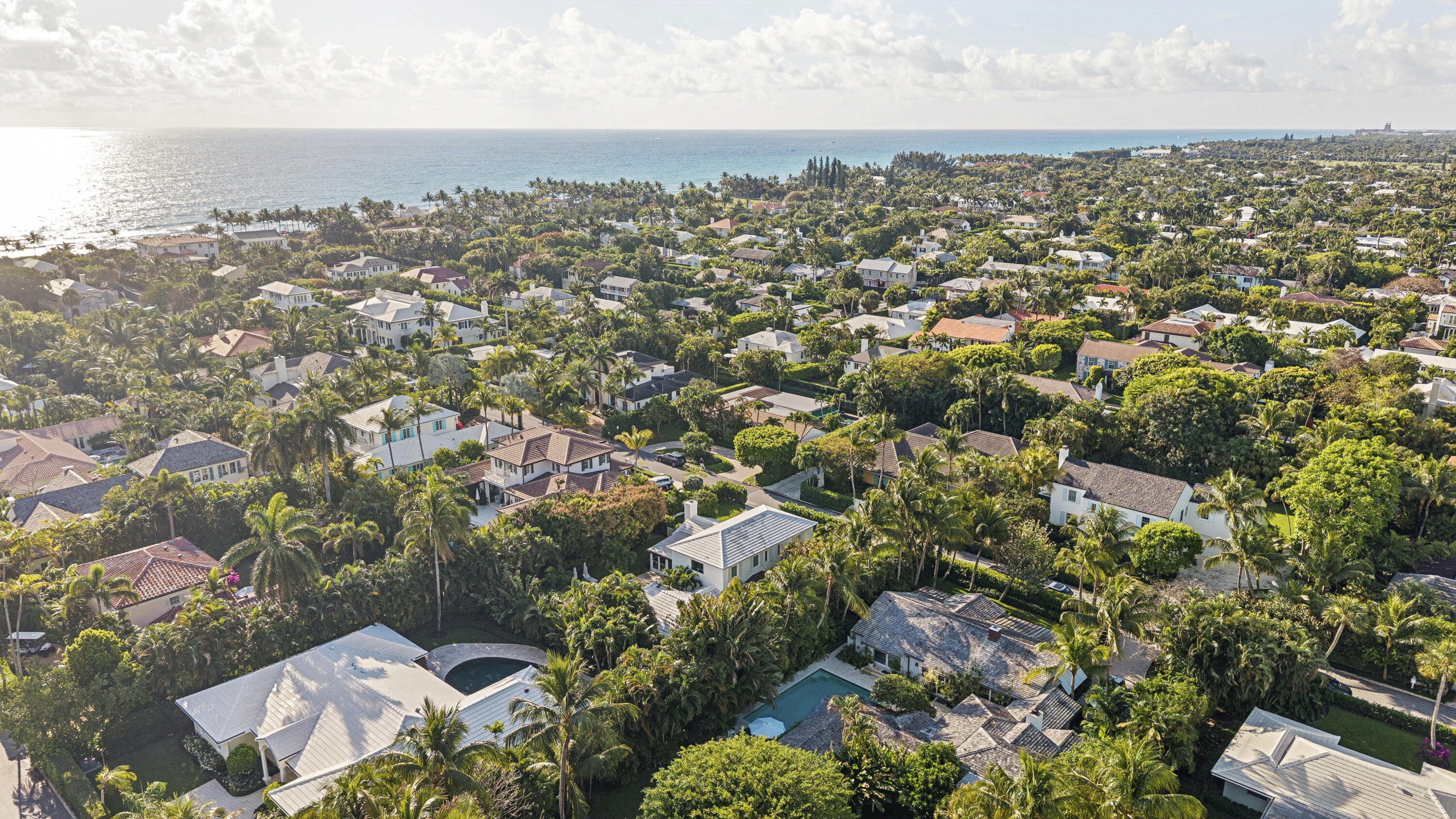 Palm Beach photo 4