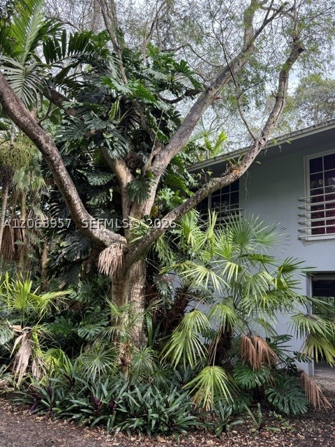 Miami photo 1