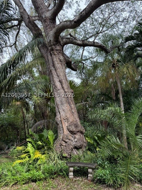 Miami photo 3