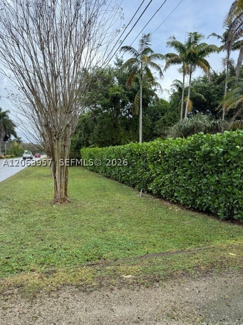 Miami photo 4