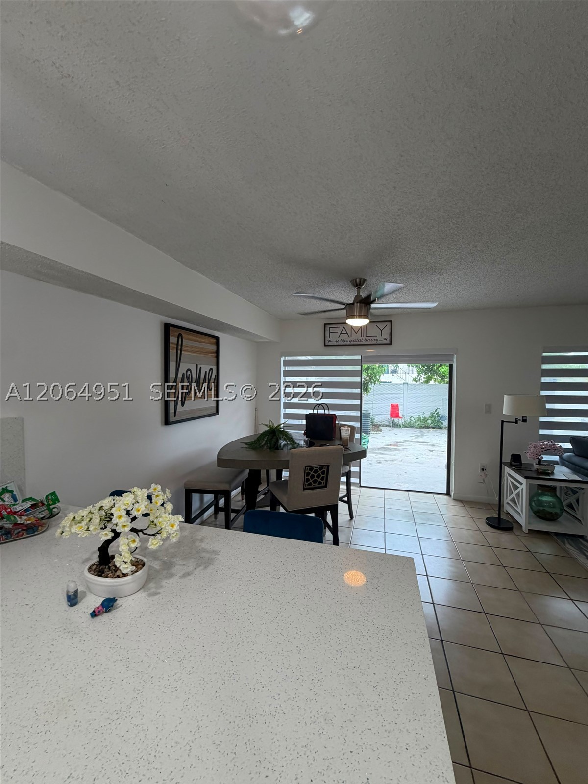 Miami photo 3