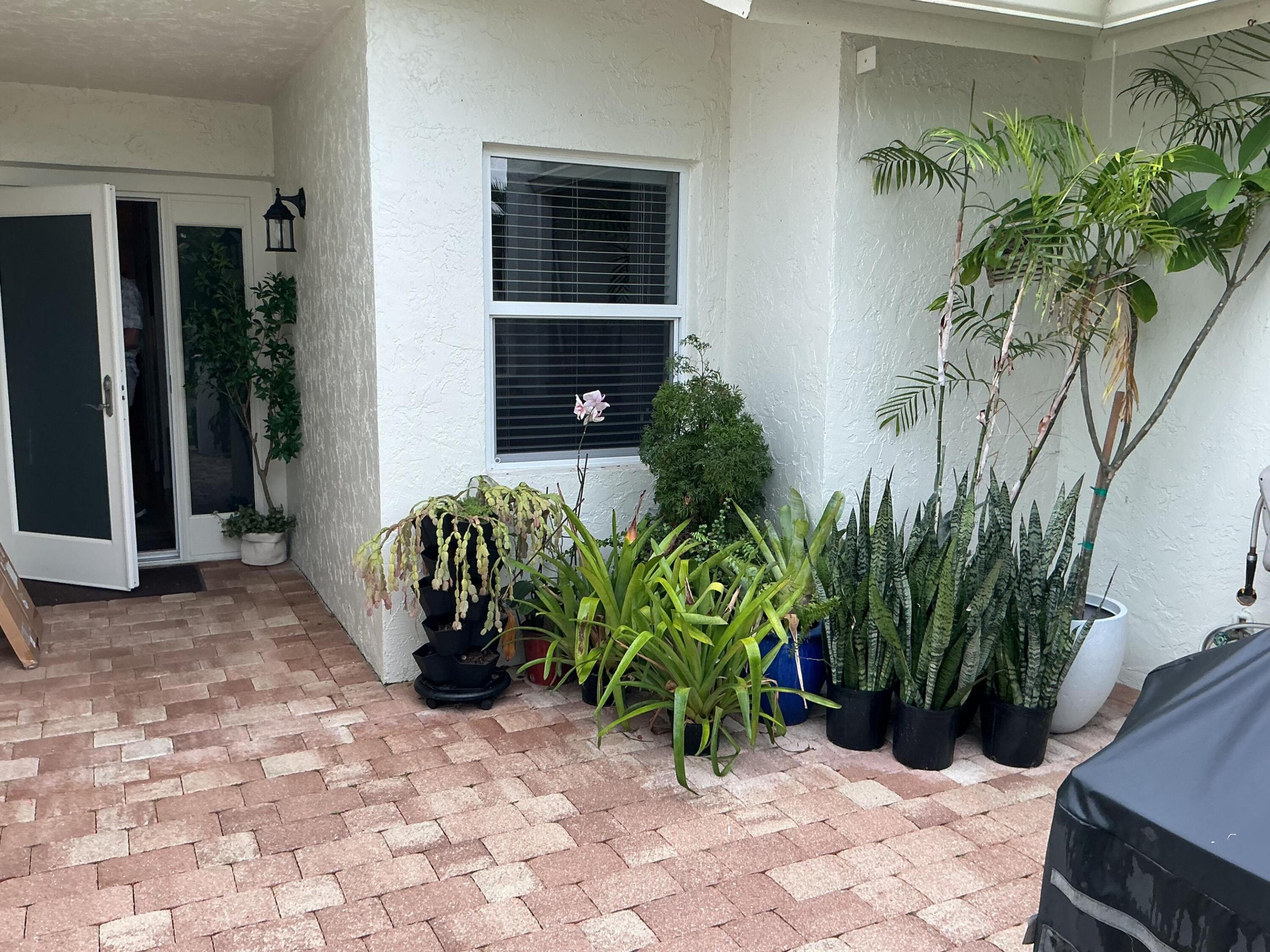 Boca Raton photo 2