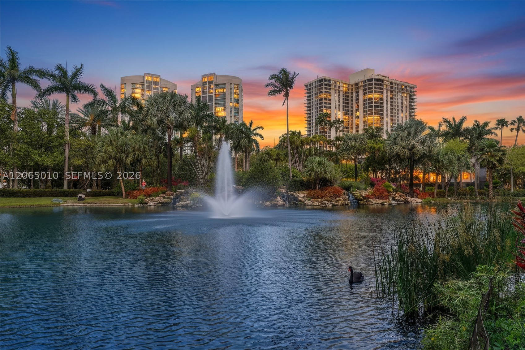 Aventura photo 1
