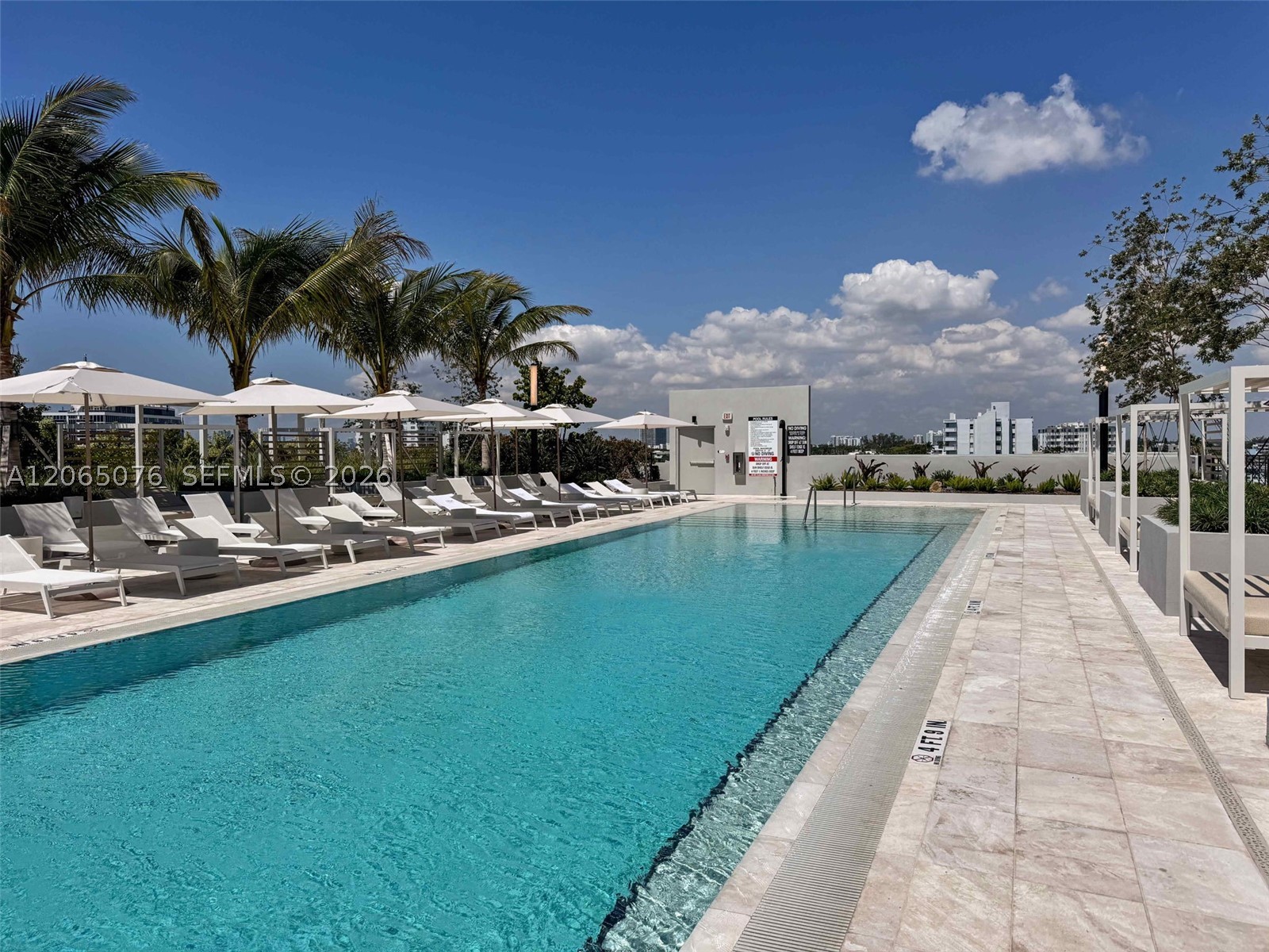 Miami Beach photo 3