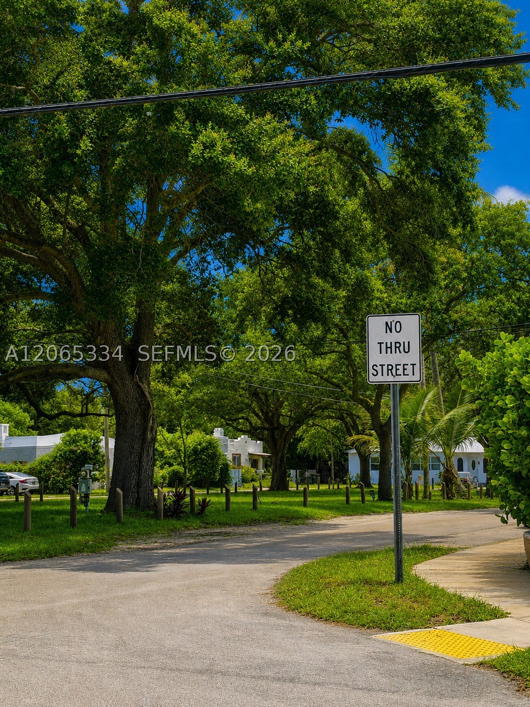 North Miami photo 2