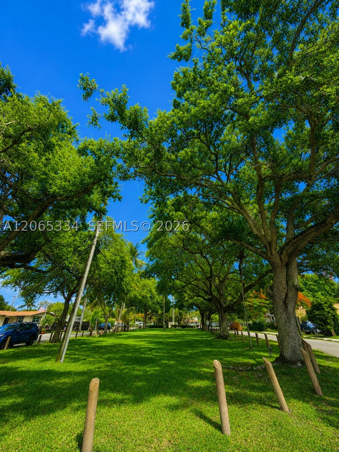 North Miami photo 3