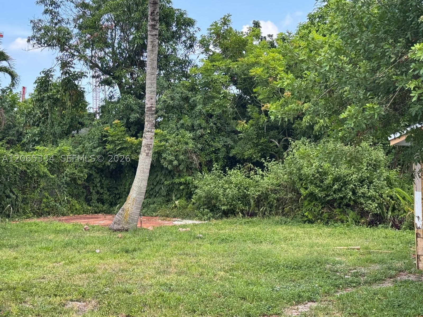 North Miami photo 4