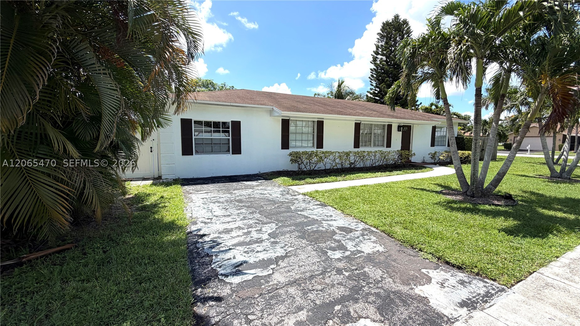 Boca Raton photo 4