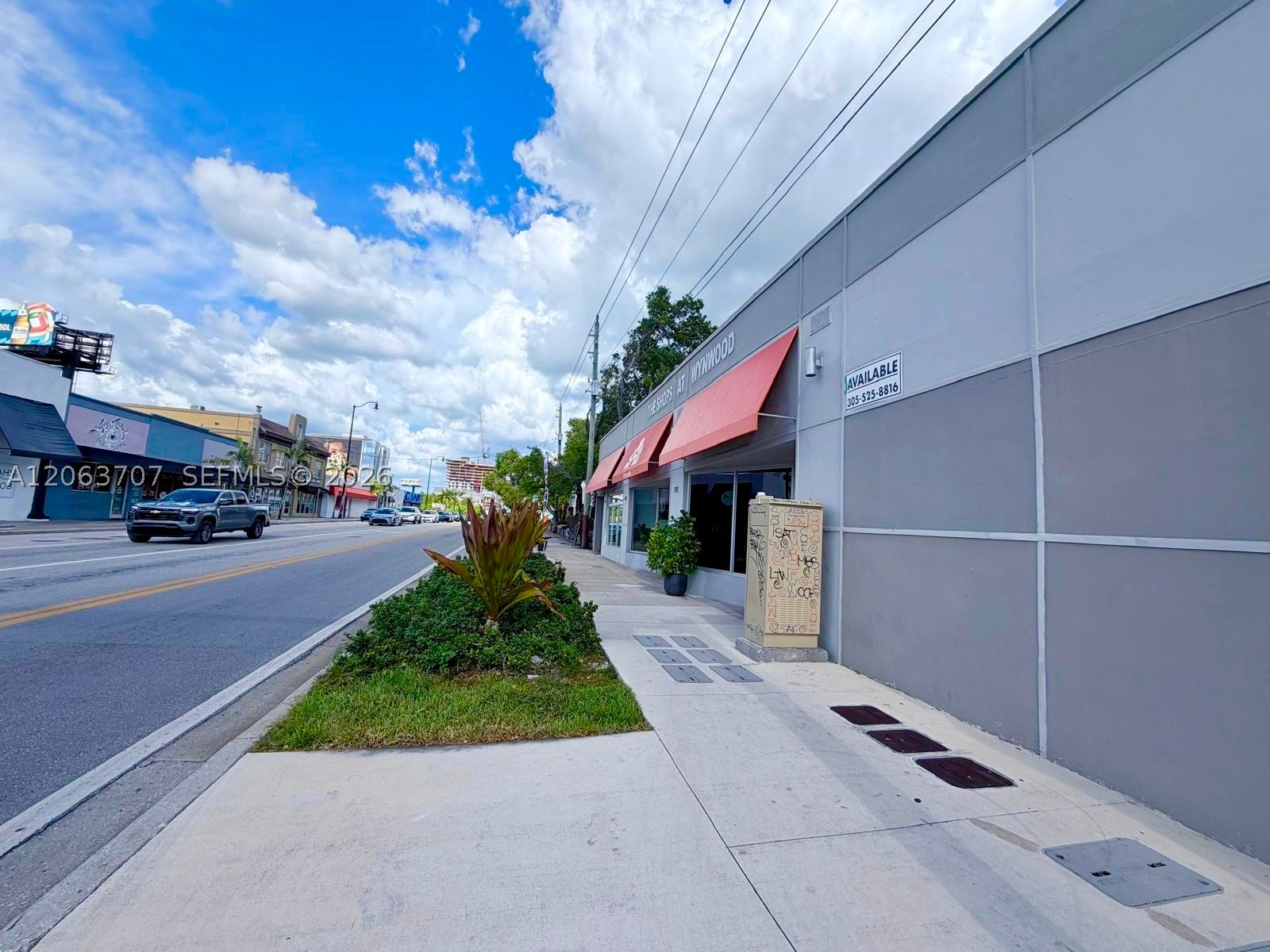 Miami photo 3