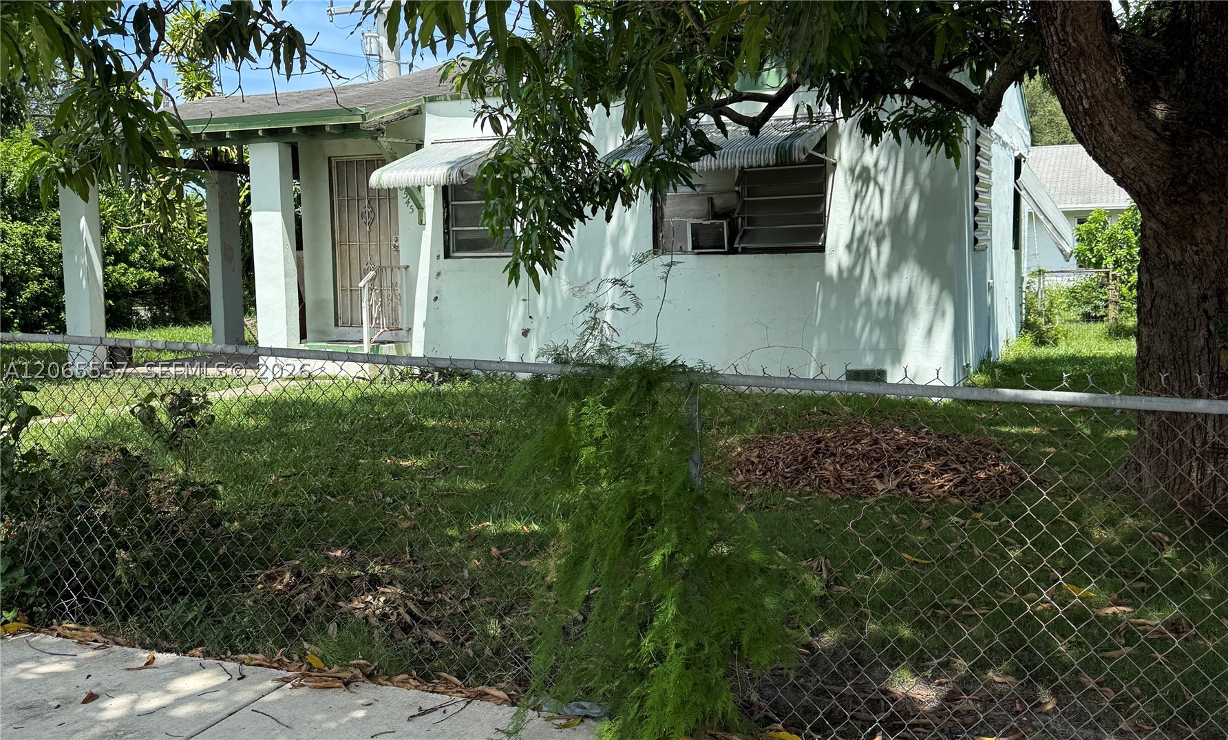 Miami photo 5