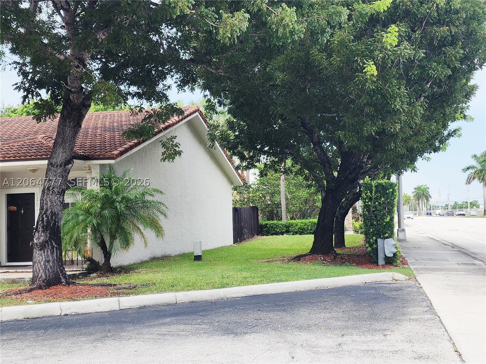 Miami photo 3