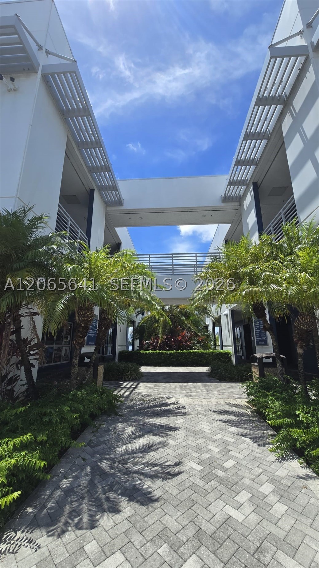 Doral photo 5