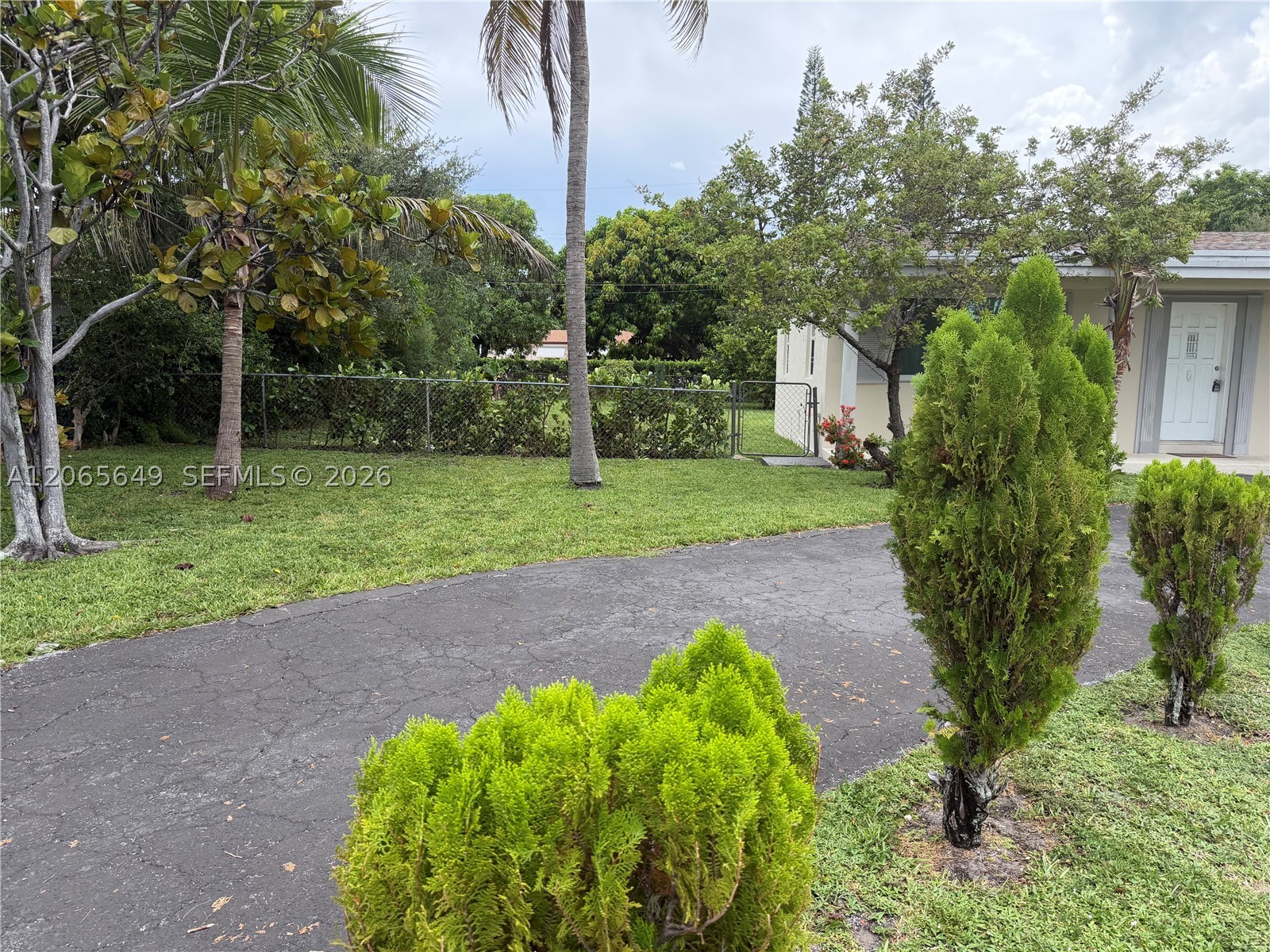 Miami photo 2