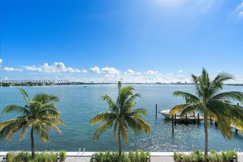 Miami photo 5