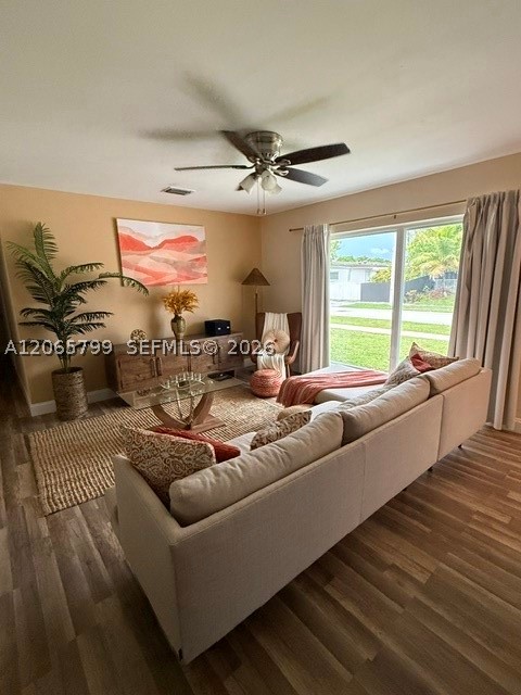 Miami photo 5
