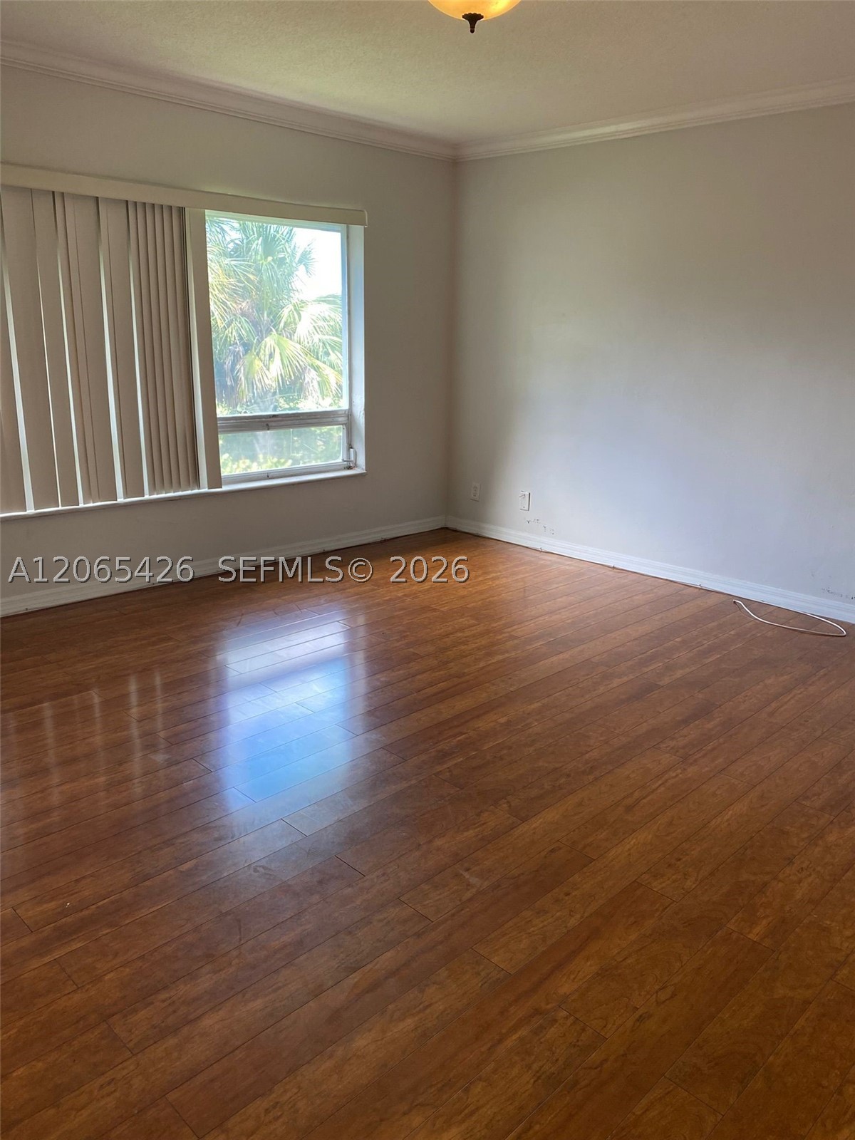 Deerfield Beach photo 5