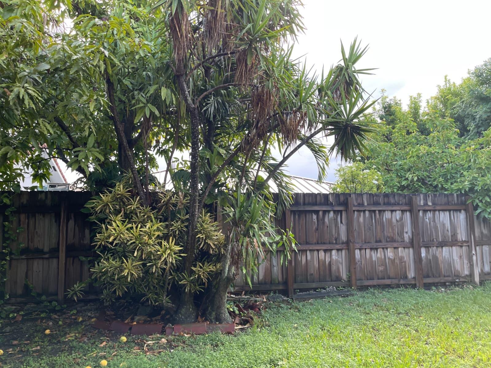 Miami photo 5