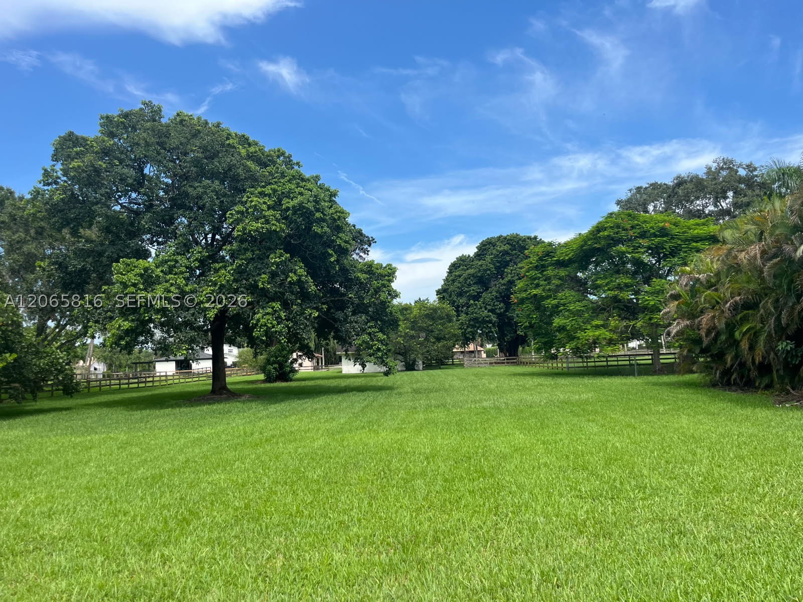 Plantation photo 1