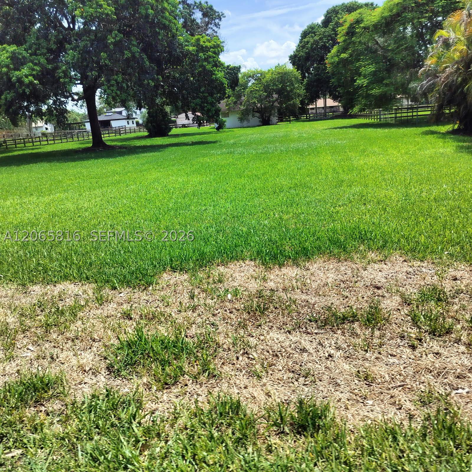 Plantation photo 5