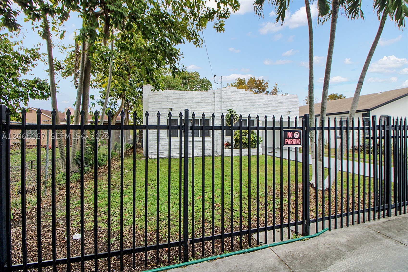 Miami photo 5