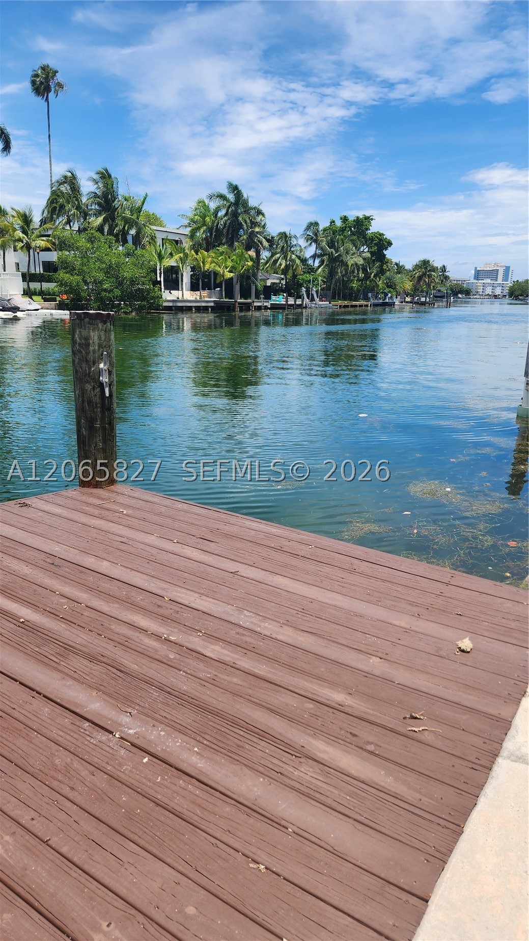 Miami Beach photo 2