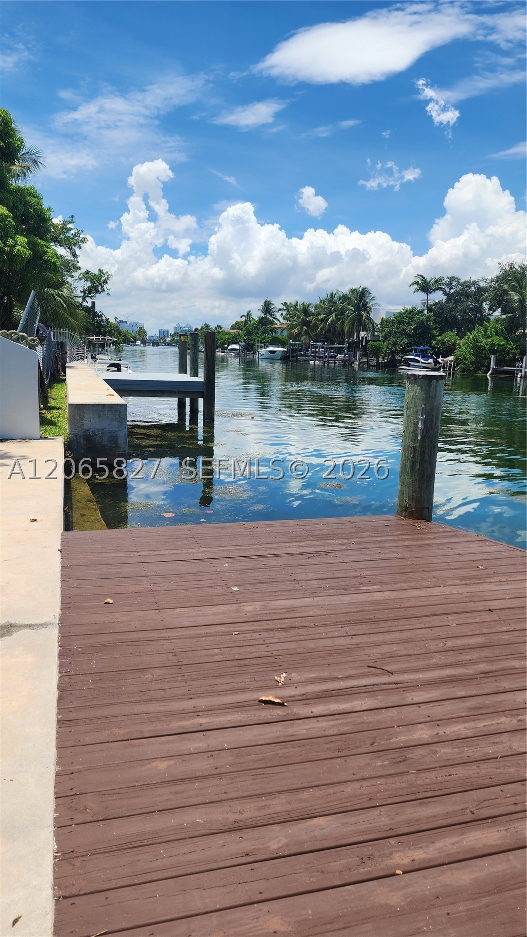 Miami Beach photo 4