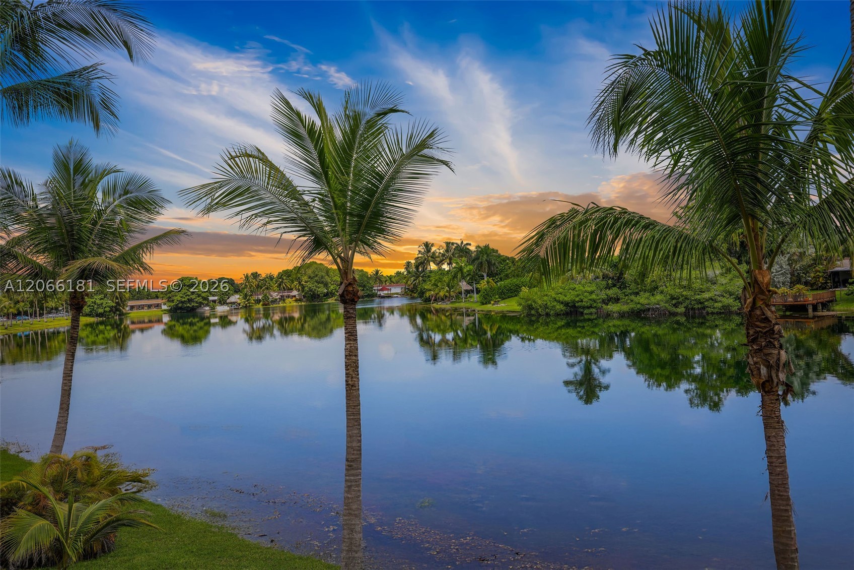 Miami photo 4