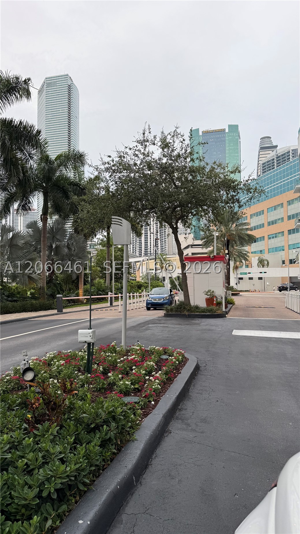 Miami photo 2