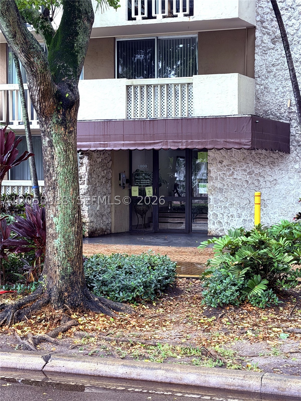 North Miami photo 1