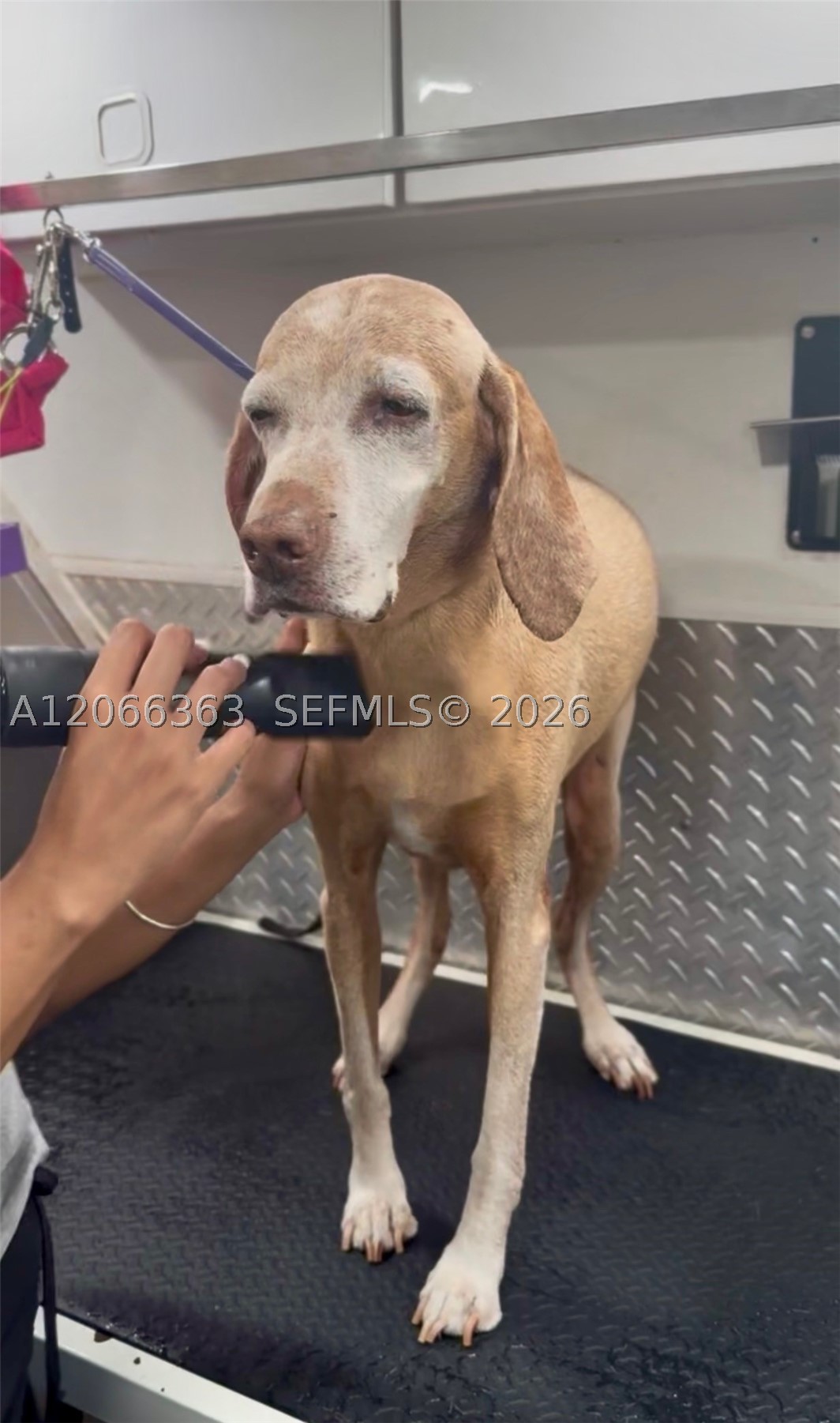Miami
