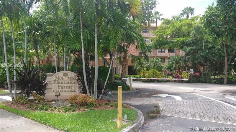 Plantation photo 1