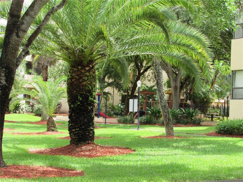 Plantation photo 5