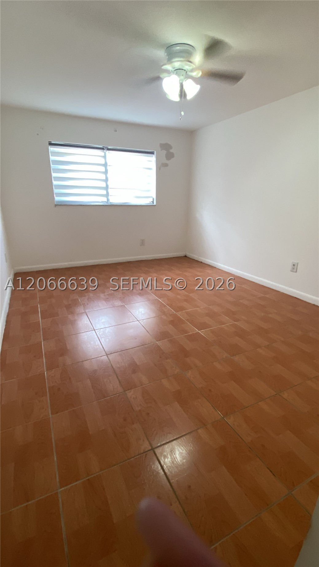 Miami photo 5