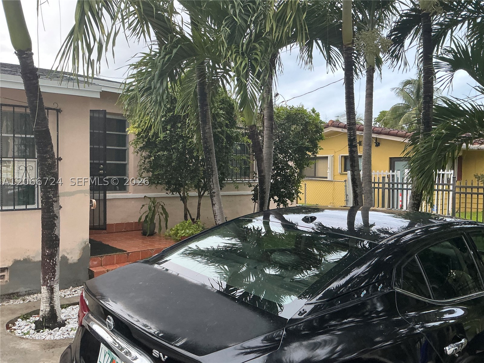 Miami photo 4