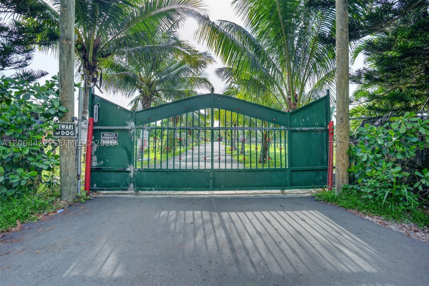 Miami photo 4